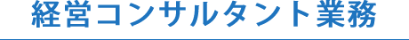 経営コンサルタント業務
